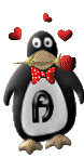 pingouin-4554450-1.gif