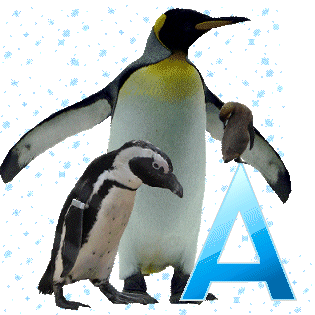 pinguinschokoa.gif