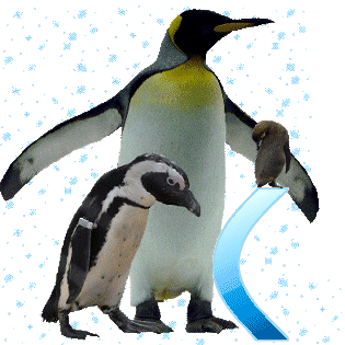 pinguinschokoc.gif
