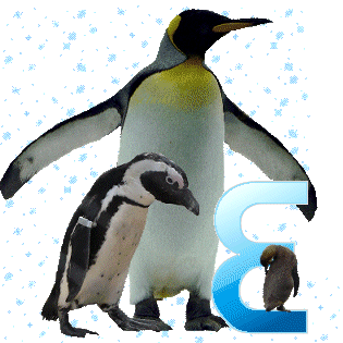 pinguinschokoe.gif