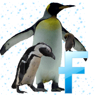 pinguinschokof.gif