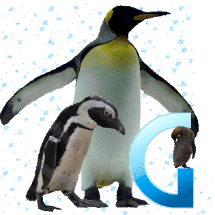 pinguinschokog.gif