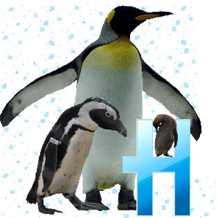 pinguinschokoh_1.gif