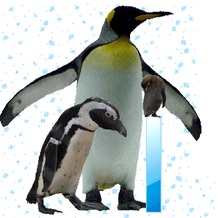 pinguinschokoi.gif