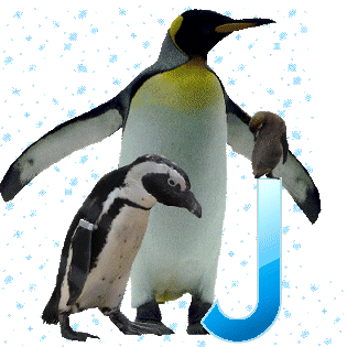 pinguinschokoj_1.gif