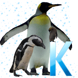 pinguinschokok_1.gif