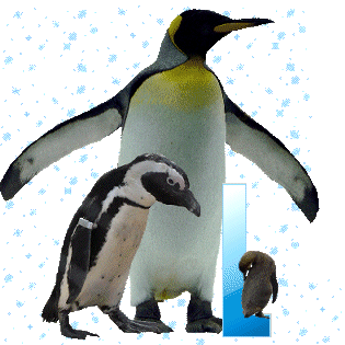 pinguinschokol.gif