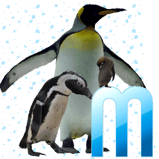 pinguinschokom_1.gif