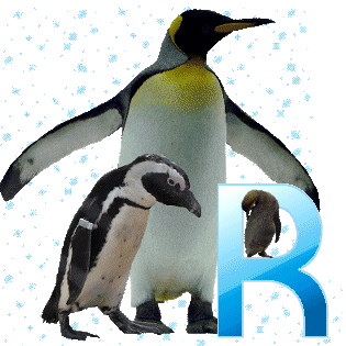 pinguinschokor.gif