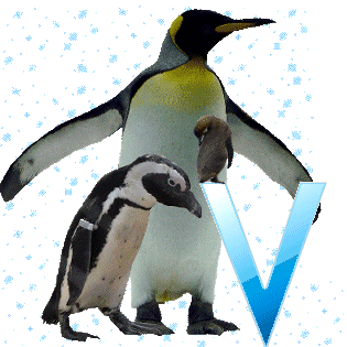 pinguinschokov.gif