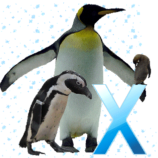 pinguinschokox.gif