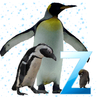 pinguinschokoz.gif