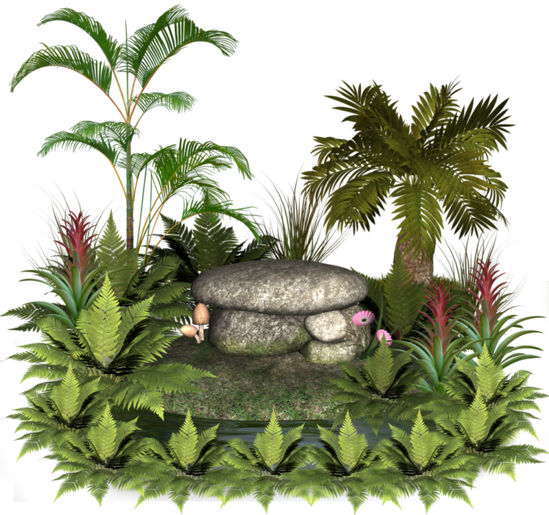 plants_and_rocks_7_by_collect_and_creat-d5t8mqz.png