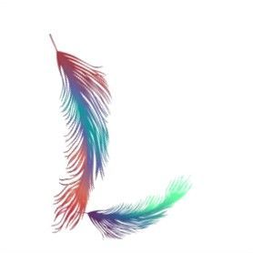 plume-3000-12.jpg