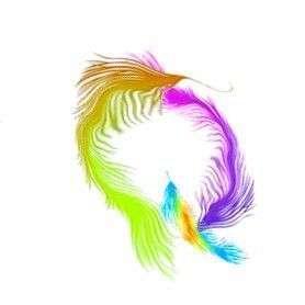 plume-3000-17.jpg