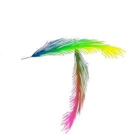 plume-3000-20.jpg