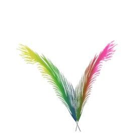 plume-3000-22.jpg