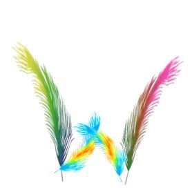plume-3000-23.jpg