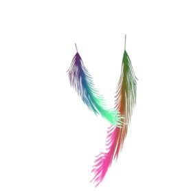 plume-3000-25.jpg