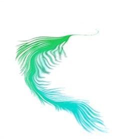 plume-3000-3.jpg