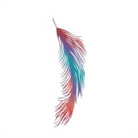 plume-3000-9.jpg