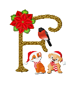 poinsettiaorF.gif