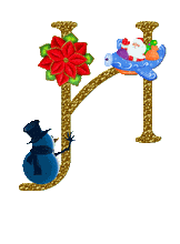 poinsettiaorH.gif