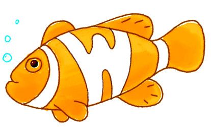 poisson-454545455678898898-23.jpg