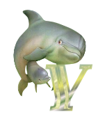 poisson5400568965-25.png