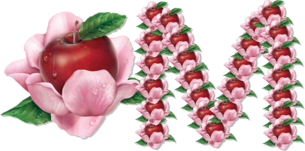 pomme-339939-13.png