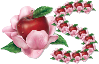 pomme-339939-19.png