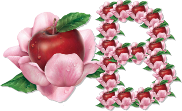 pomme-339939-2.png