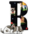 pup3-r.gif