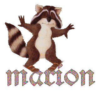 raton_laveur_marion.gif