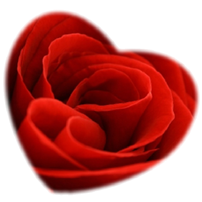 red-rose_2.png