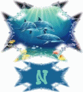 requin43032-14.gif