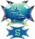 requin43032-19.gif