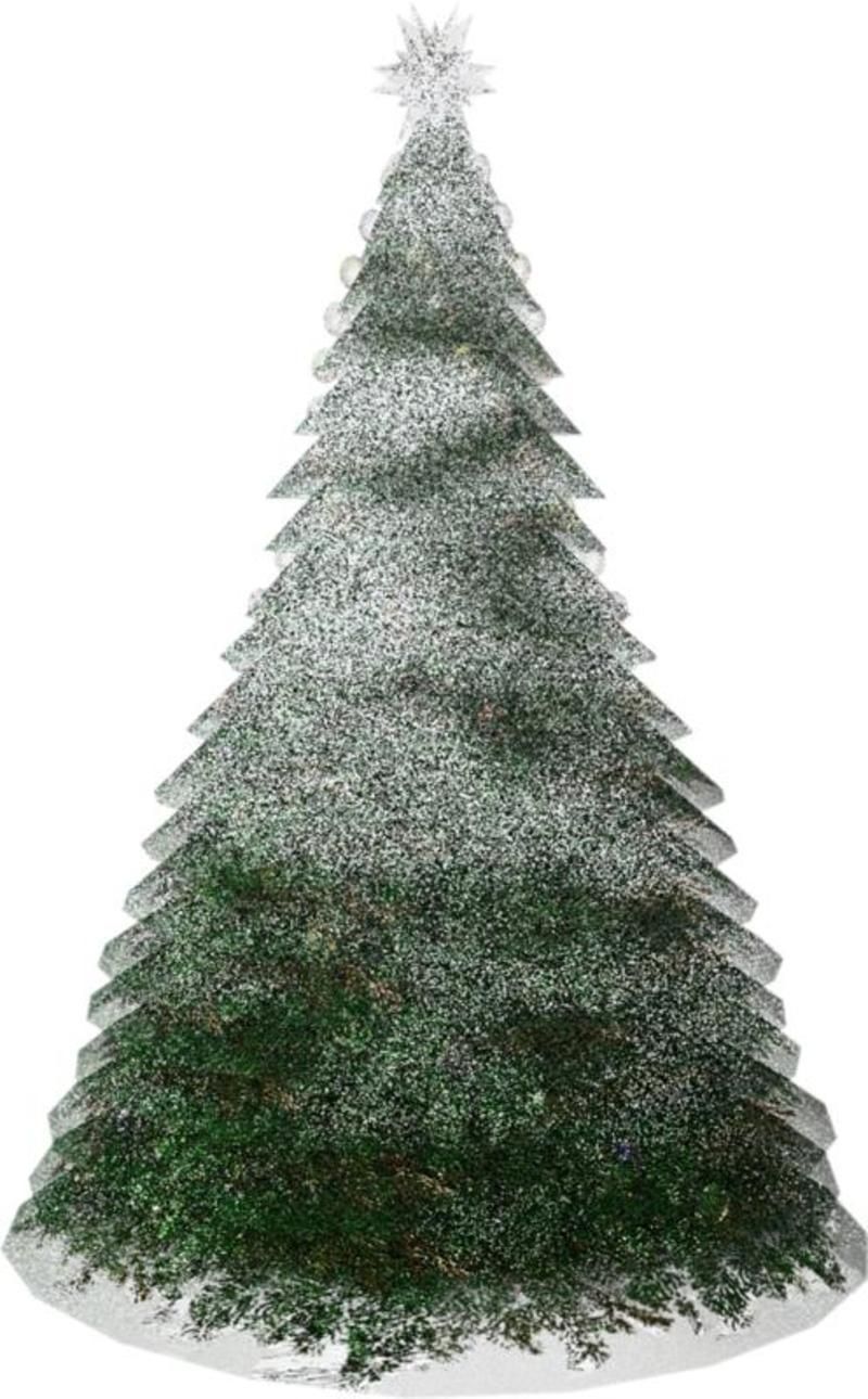 sapin-55.jpg