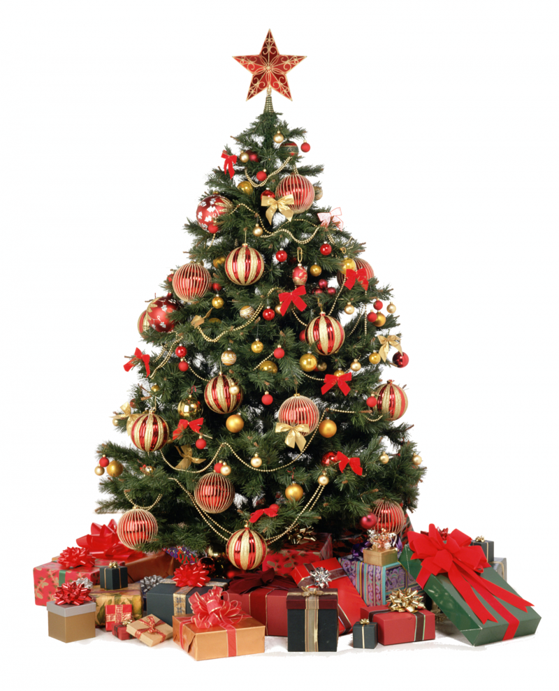 sapin-823456576.png