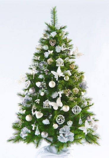 sapin-de-noel-175617_L.jpg