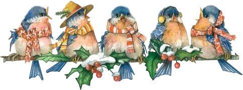 sgbluebirdcarolers-vi.jpg