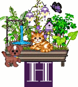 shelf-alpha-H.gif
