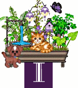 shelf-alpha-I.gif