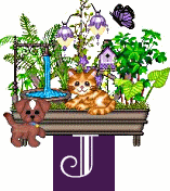 shelf-alpha-J.gif