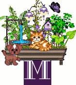 shelf-alpha-M.gif