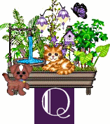 shelf-alpha-Q.gif