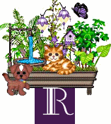 shelf-alpha-R.gif