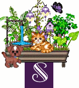 shelf-alpha-S.gif