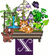shelf-alpha-X.gif