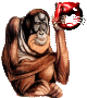 singe-323223323232-15.gif